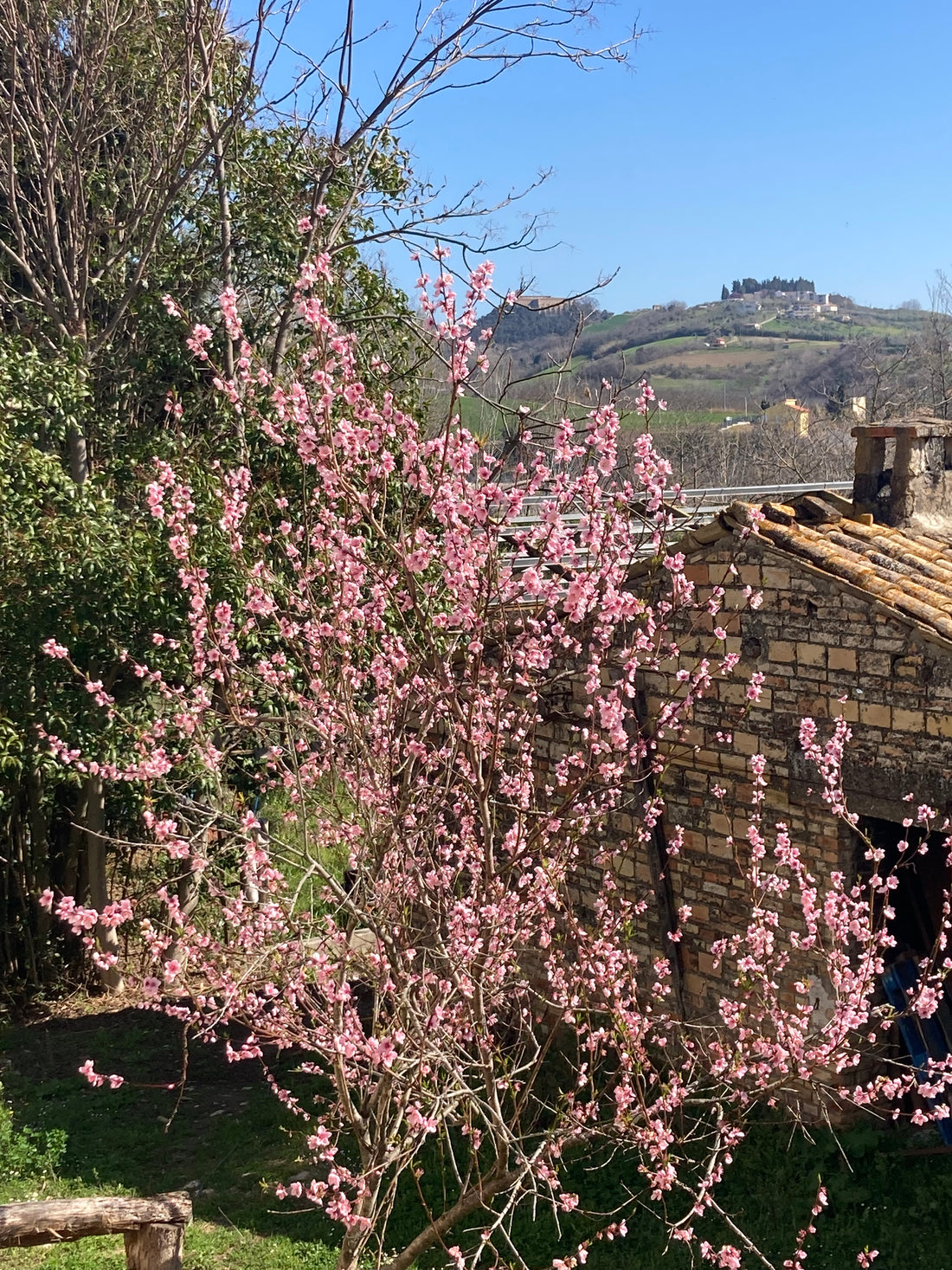 Un Respiro di Primavera: tra lavoro , bellezza naturale e cultura