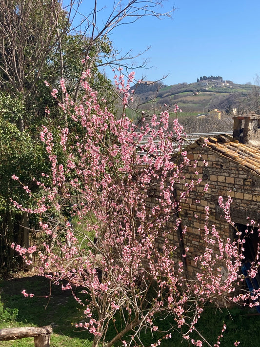 Un Respiro di Primavera: tra lavoro , bellezza naturale e cultura